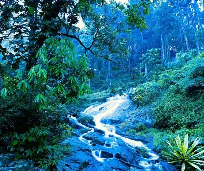 منتجع Falling Waters Munnar