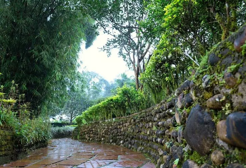 منتجع Falling Waters Munnar