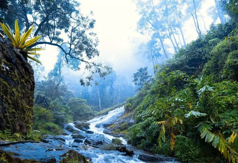 منتجع Falling Waters Munnar