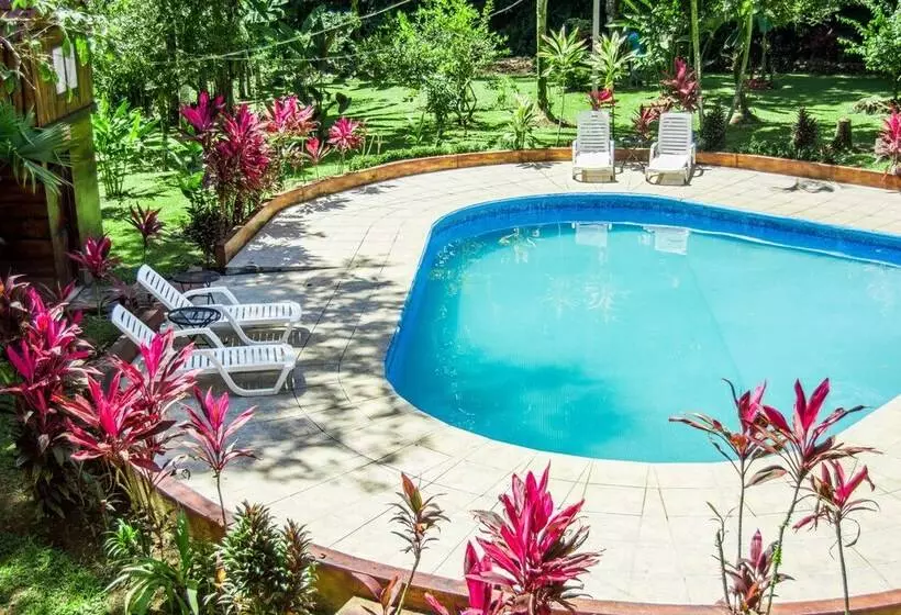 ホテル Lavas Del Arenal