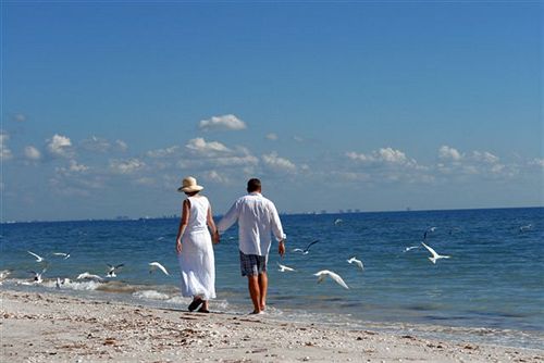 فندق Ocean S Reach