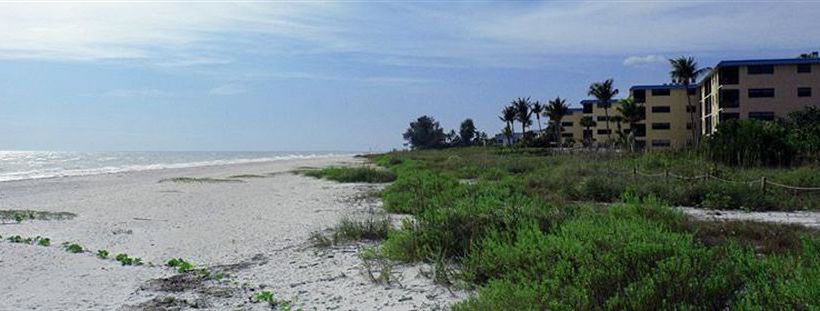 فندق Ocean S Reach