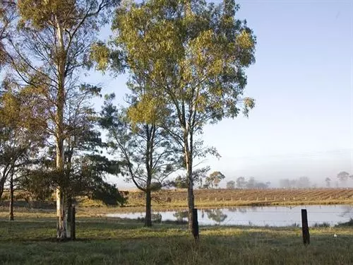 فندق Talga Vines Vineyard Escape