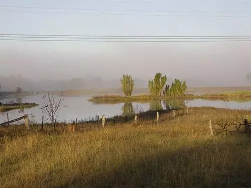 فندق Talga Vines Vineyard Escape