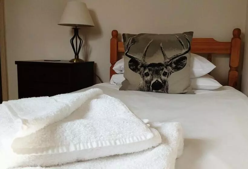 Hotel The Bell House