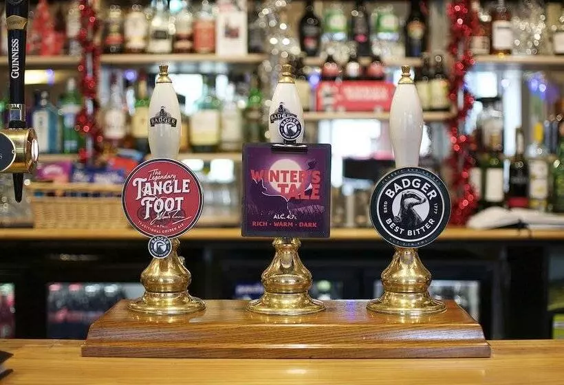 בית מלון כפרי The Grove Arms