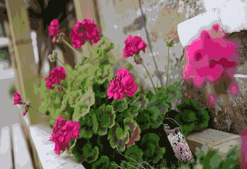 ホテル The Victoria Inn