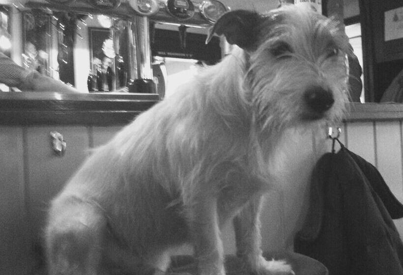 فندق The White Hart