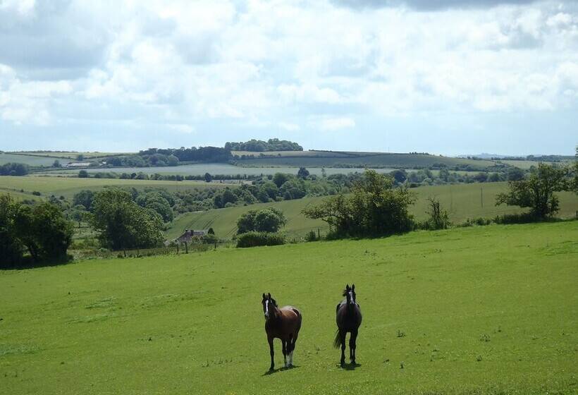 Manor Farm B&b