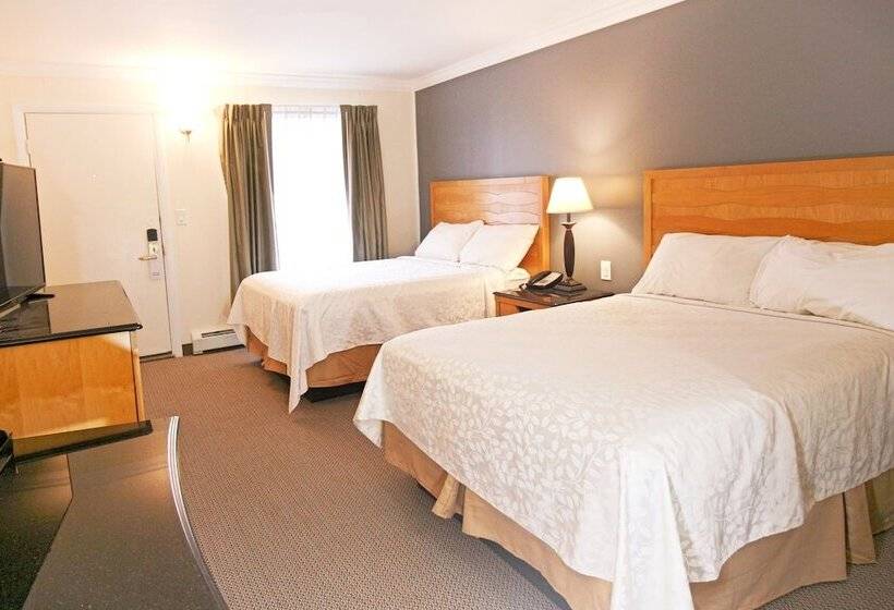 فندق على الطريق Moonlight Inn