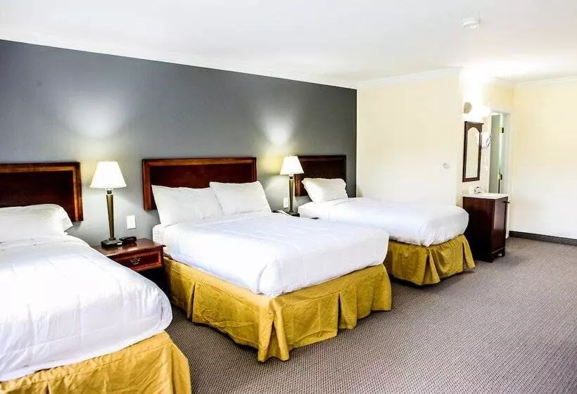 汽车旅馆 Moonlight Inn