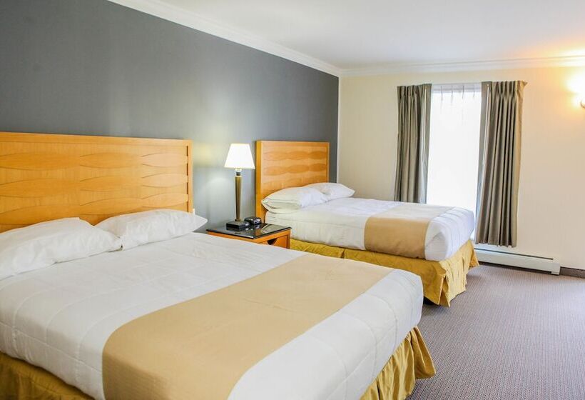 فندق على الطريق Moonlight Inn