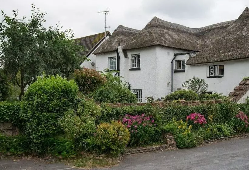 Пансион Southern Cross Guest House