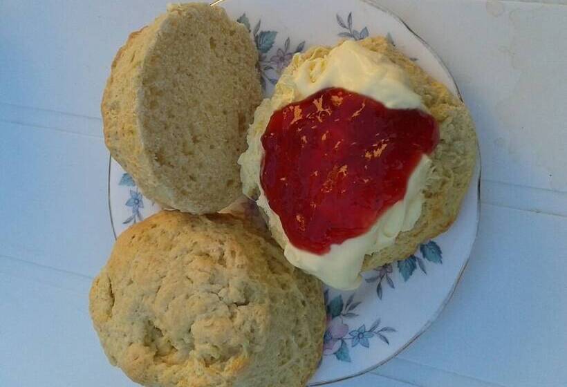 פנסיון Southern Cross Guest House