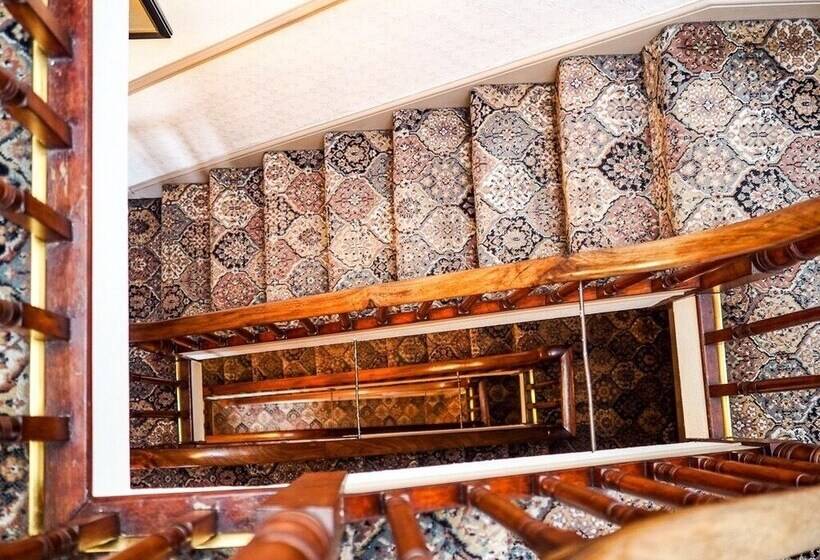 بنسيون Tall Storeys