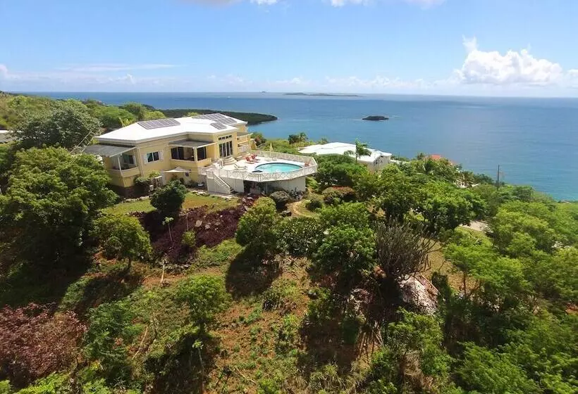 Villa Marbella Suites