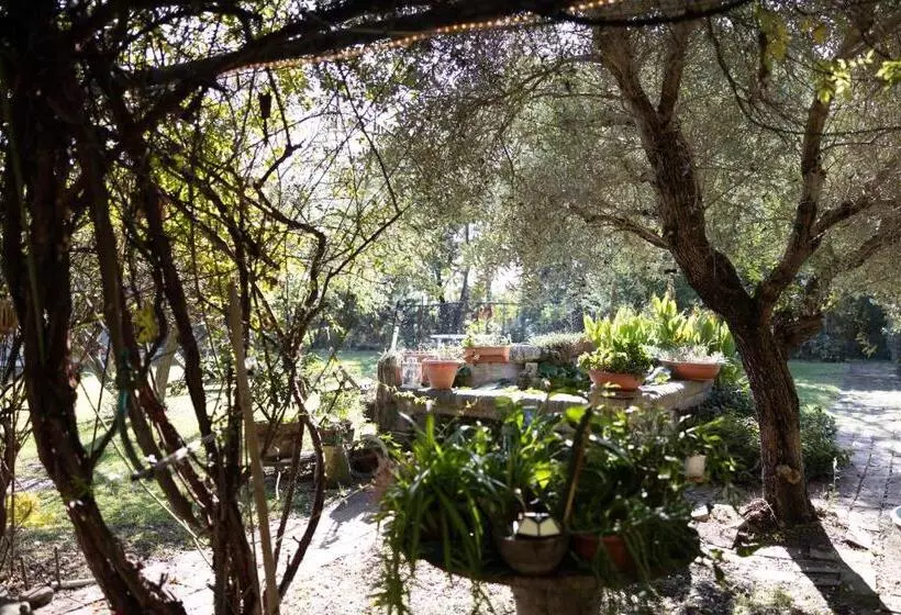 Acetaia Malagoli Daniele E B&b