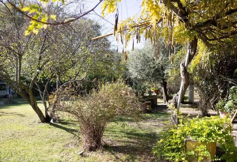 Acetaia Malagoli Daniele E B&b