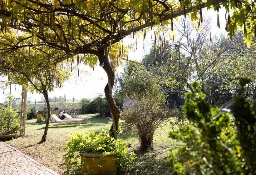 Acetaia Malagoli Daniele E B&b