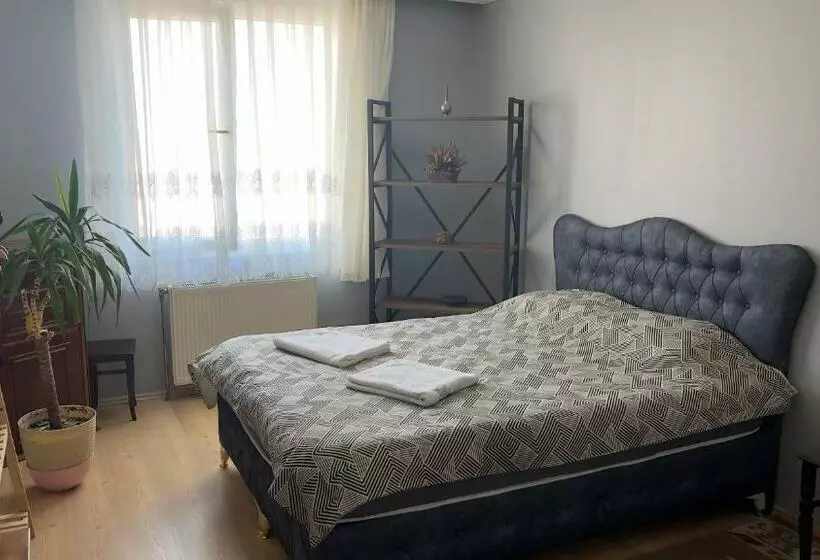 Aamiaismajoitus (B&B) Kapalı