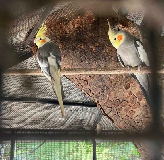 Bed and Breakfast Kawale S Palms & Retreat