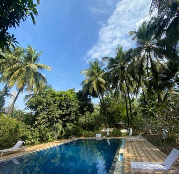 Bed and Breakfast Kawale S Palms & Retreat