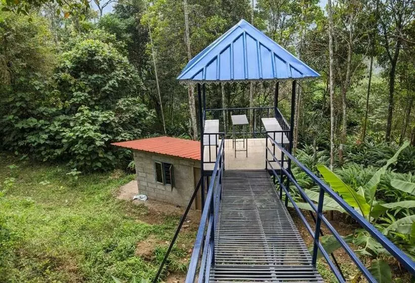 ベッドアンドブレックファースト Misty Valley Hospitality,munnar