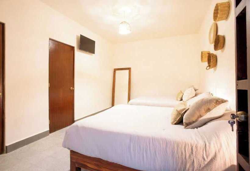 فندق Capital O Mansion Del Tequila