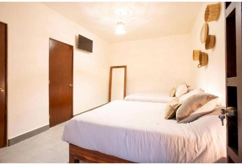 فندق Capital O Mansion Del Tequila