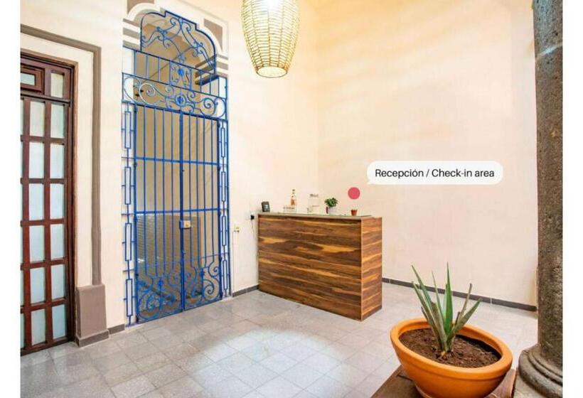 فندق Capital O Mansion Del Tequila