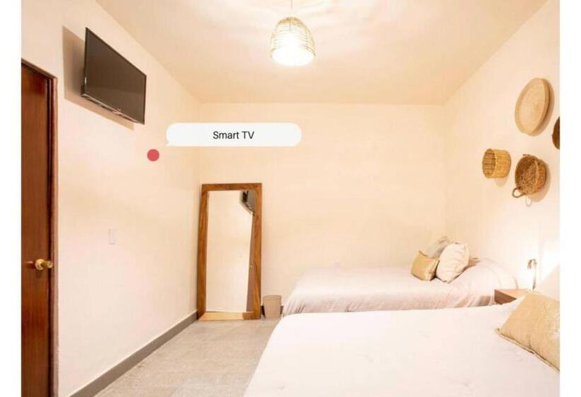 فندق Capital O Mansion Del Tequila