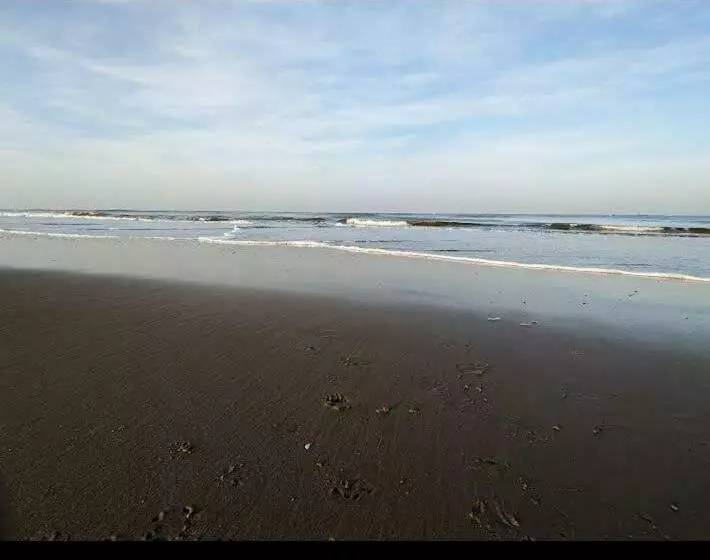 هتل Coco Beach Gokarna