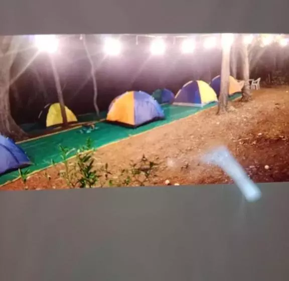 Hotelli Hilltone Panorama Bungalow Veg Non Veg Matheran