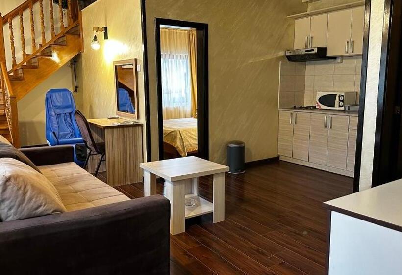 پانسیون Club Satelit Zlatibor