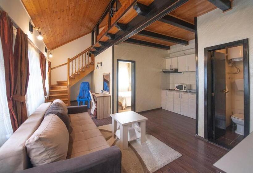 پانسیون Club Satelit Zlatibor