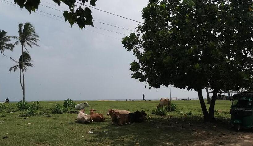 پانسیون Gunne Fisherman House