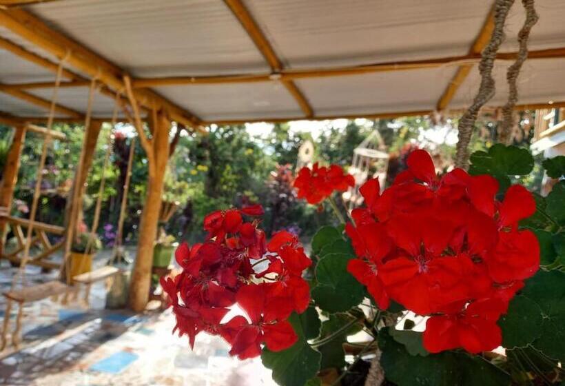 Eco Hotel Manu Viajeros