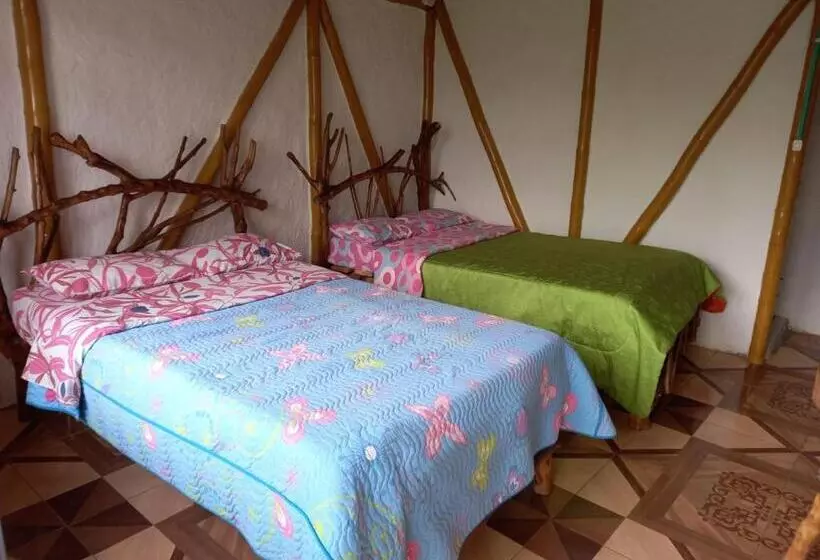 Eco Hotel Manu Viajeros