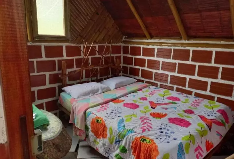 Eco Hotel Manu Viajeros