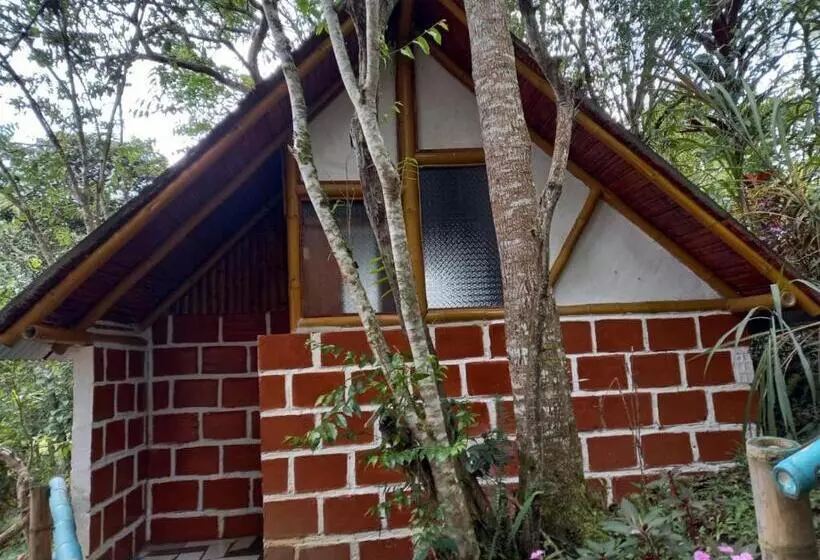 Eco Hotel Manu Viajeros
