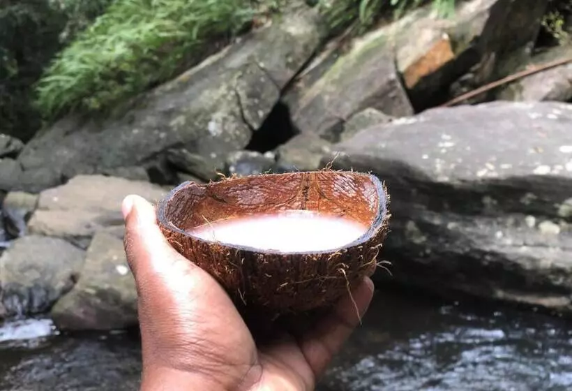 هتل Palabaddala Tea And Eco Lodge