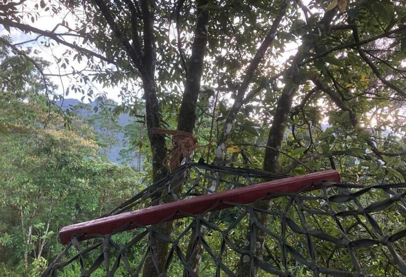 ホテル Palabaddala Tea And Eco Lodge