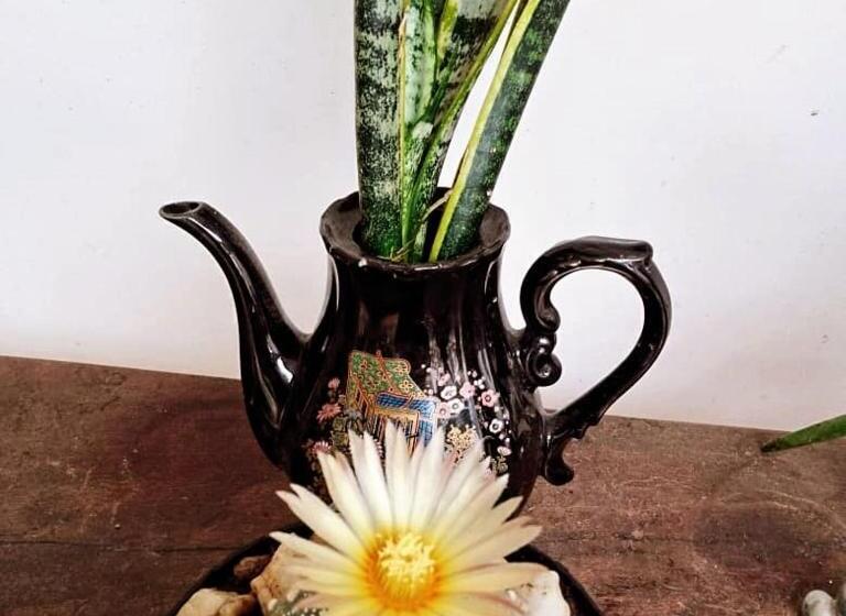 پانسیون Hermoso Palomino