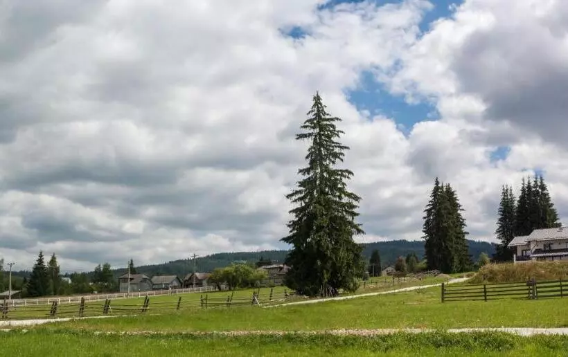 Majatalo Vila Dorna Royal