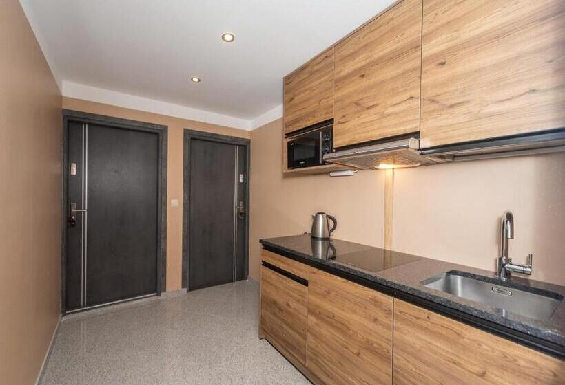 بنسيون Willa Bukowa