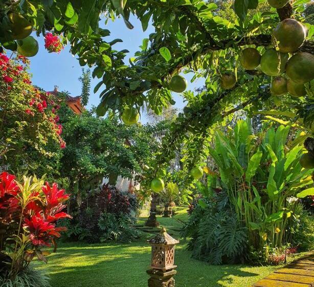 리조트 Sava Eco Retreat