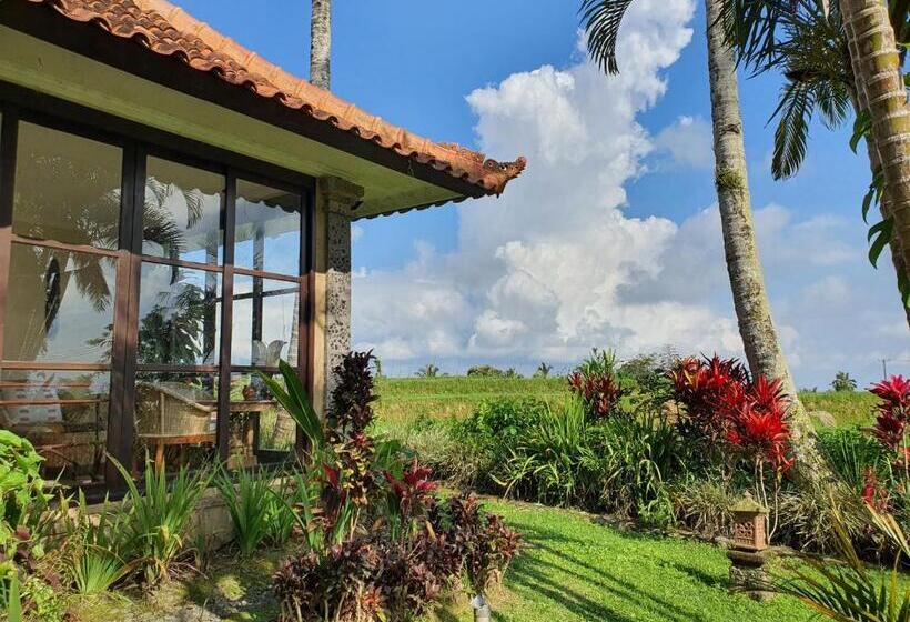 리조트 Sava Eco Retreat