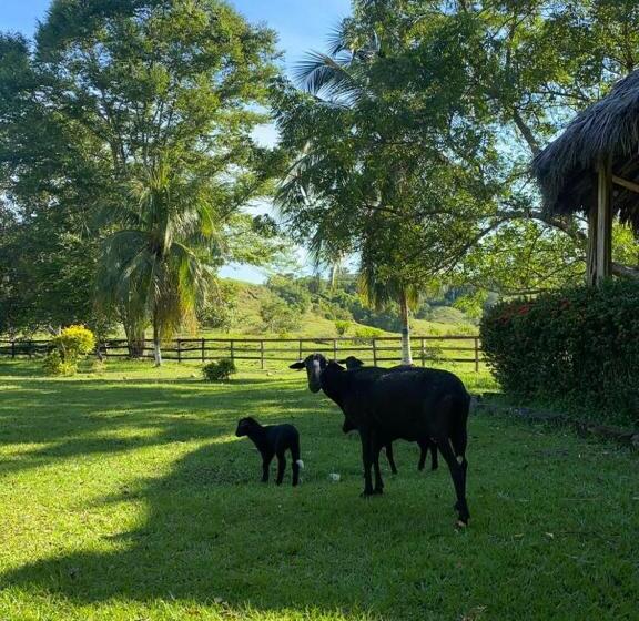 Selah Hotel Campestre