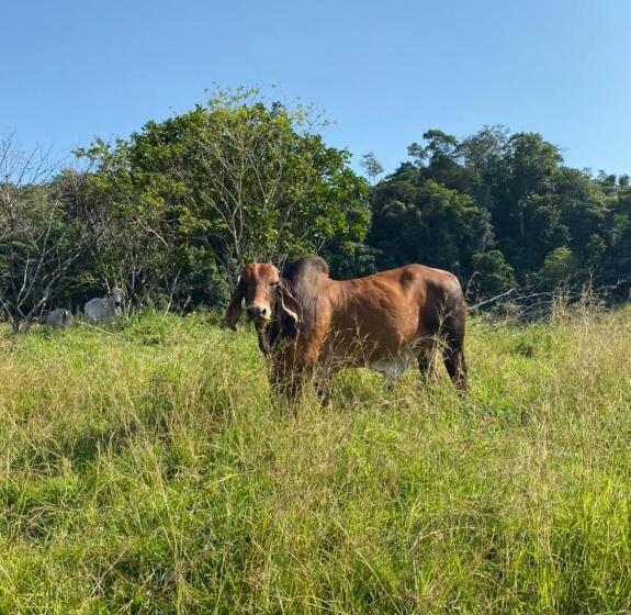 Selah Hotel Campestre