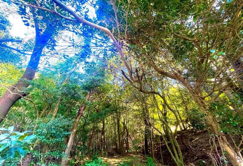 هاستل 自然豊かな隠れ家ゲストハウス和村nagomura